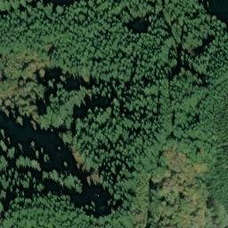 Satellite imagery of Chinquapin Point, US