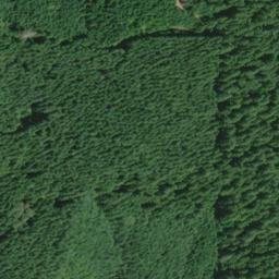 Satellite imagery of Chinquapin Point, US