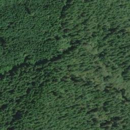 Satellite imagery of Chinquapin Ridge, US