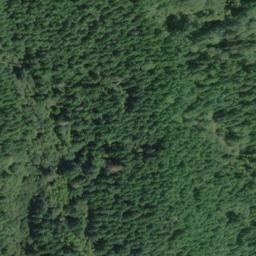 Satellite imagery of Chinquapin Ridge, US