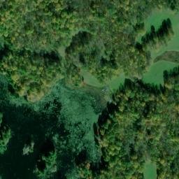 Satellite imagery of Shiner Point, CA