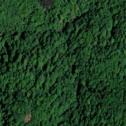 Satellite imagery of Trbušnjak, BA