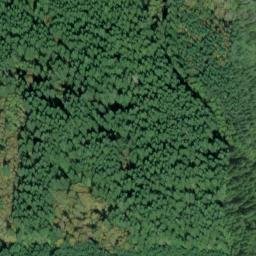 Satellite imagery of Chinquapin Point, US