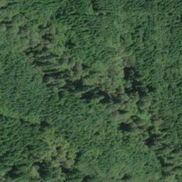 Satellite imagery of Chinquapin Point, US