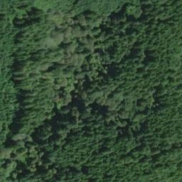 Satellite imagery of Chinquapin Point, US