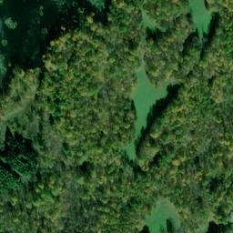 Satellite imagery of Shiner Point, CA