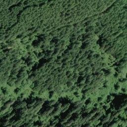Satellite imagery of Gopher Ridge, US