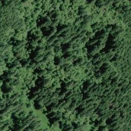 Satellite imagery of Gopher Ridge, US