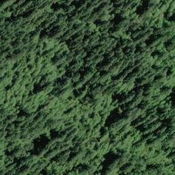 Satellite imagery of Gopher Ridge, US