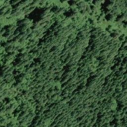 Satellite imagery of Gopher Ridge, US