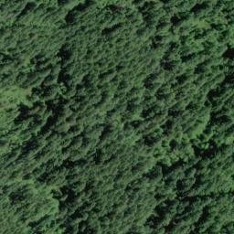 Satellite imagery of Gopher Ridge, US