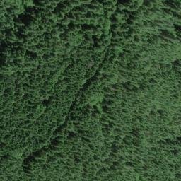 Satellite imagery of Grant Ridge, US