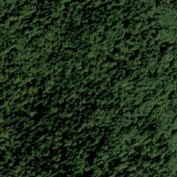 Satellite imagery of Palež, BA