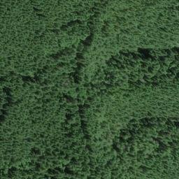 Satellite imagery of Grant Ridge, US