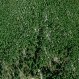 Satellite imagery of West Ridge, US