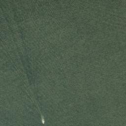 Satellite imagery of Sandy Point, CA