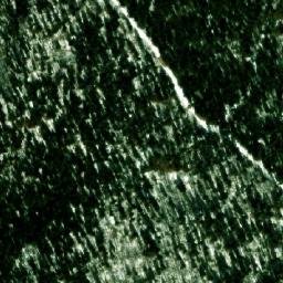 Satellite imagery of Paljevska Kosa, BA