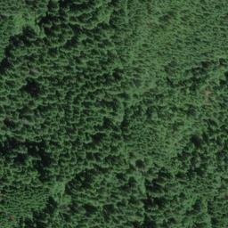 Satellite imagery of Grant Ridge, US