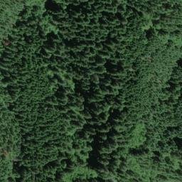 Satellite imagery of Grant Ridge, US