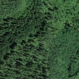 Satellite imagery of Grant Ridge, US