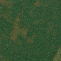 Satellite imagery of McGuire Point, CA