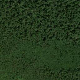 Satellite imagery of Javoruša, BA