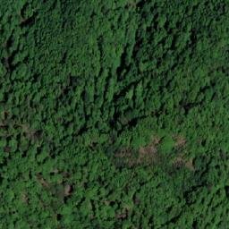 Satellite imagery of Šaš, BA