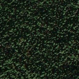Satellite imagery of Camp Watson Point, US