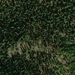 Satellite imagery of Camp Watson Point, US
