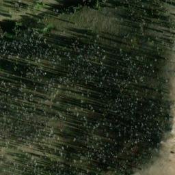 Satellite imagery of Blue Bunch Ridge, US