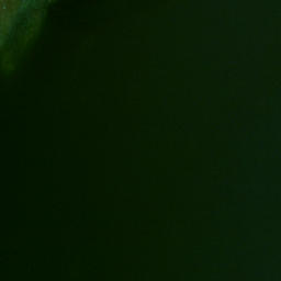 Satellite imagery of Chippewa Point, US