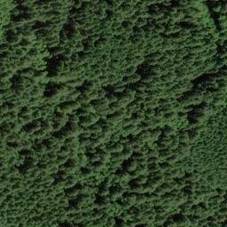 Satellite imagery of Peavine Ridge, US