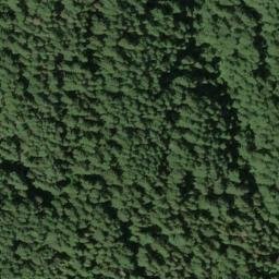 Satellite imagery of West Ridge, US