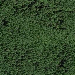 Satellite imagery of Peavine Ridge, US
