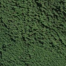Satellite imagery of West Ridge, US