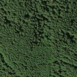 Satellite imagery of West Ridge, US