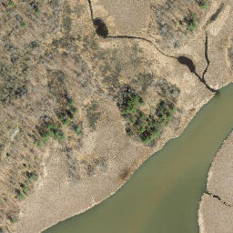 Satellite imagery of Daney Point, US