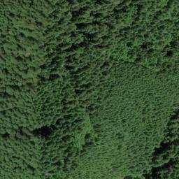 Satellite imagery of West Ridge, US