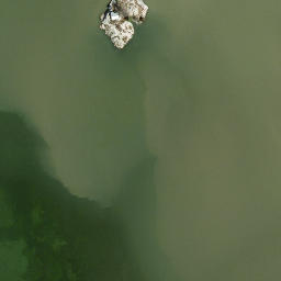 Satellite imagery of Daney Point, US