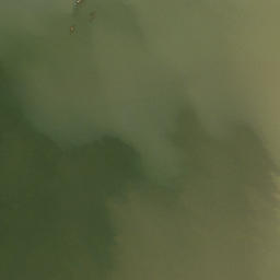 Satellite imagery of Daney Point, US