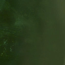 Satellite imagery of Sturgeon Point, US