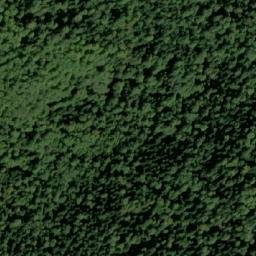 Satellite imagery of Rajičevac, BA