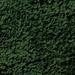 Satellite imagery of Rajičevac, BA