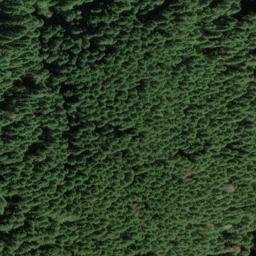 Satellite imagery of Death Ridge, US