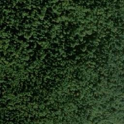 Satellite imagery of Crni Vrh, BA