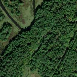 Satellite imagery of Buell's Point, CA