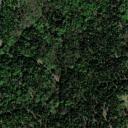 Satellite imagery of Bunker, BA