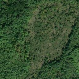 Satellite imagery of Basswood Hill, CA