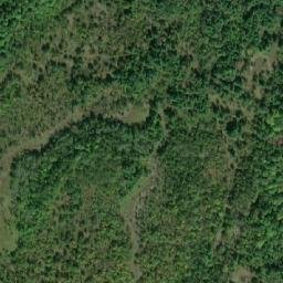 Satellite imagery of Basswood Hill, CA