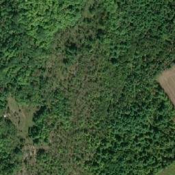 Satellite imagery of Basswood Hill, CA